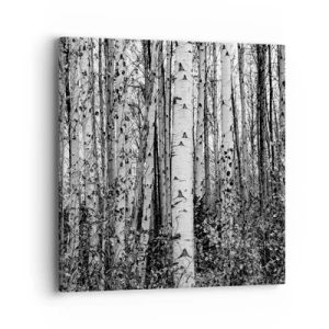 Tablou pe pânză - Coloane de mesteacăn - 40x40 cm