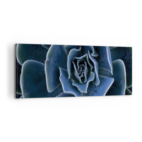 Tablou pe pânză - Floare de deșert - 100x40 cm