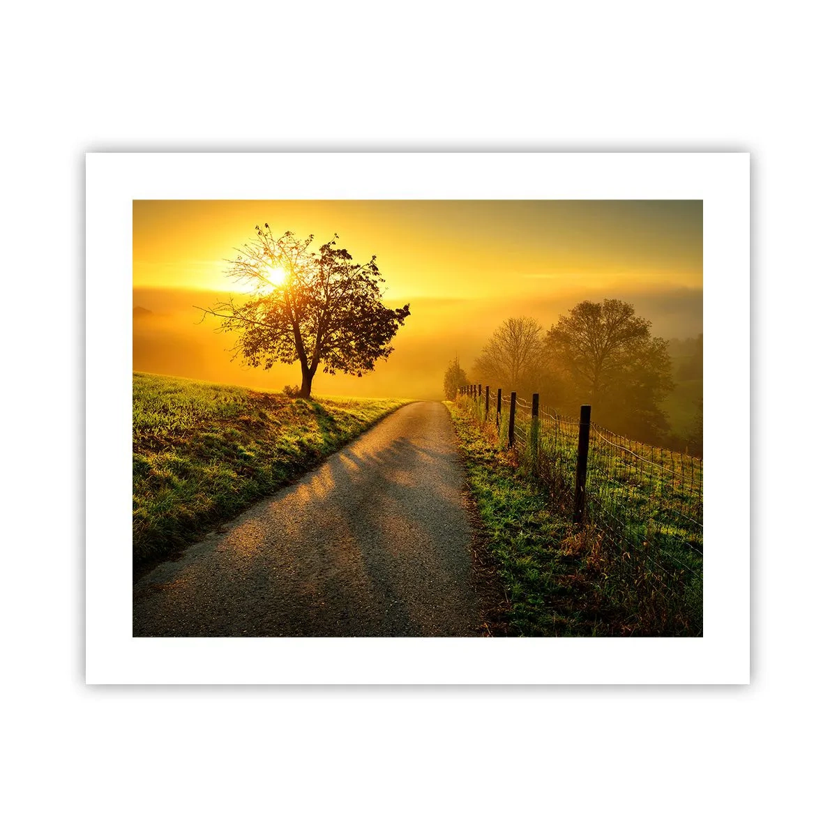 Poster - O după-amiază de miel - 50x40 cm