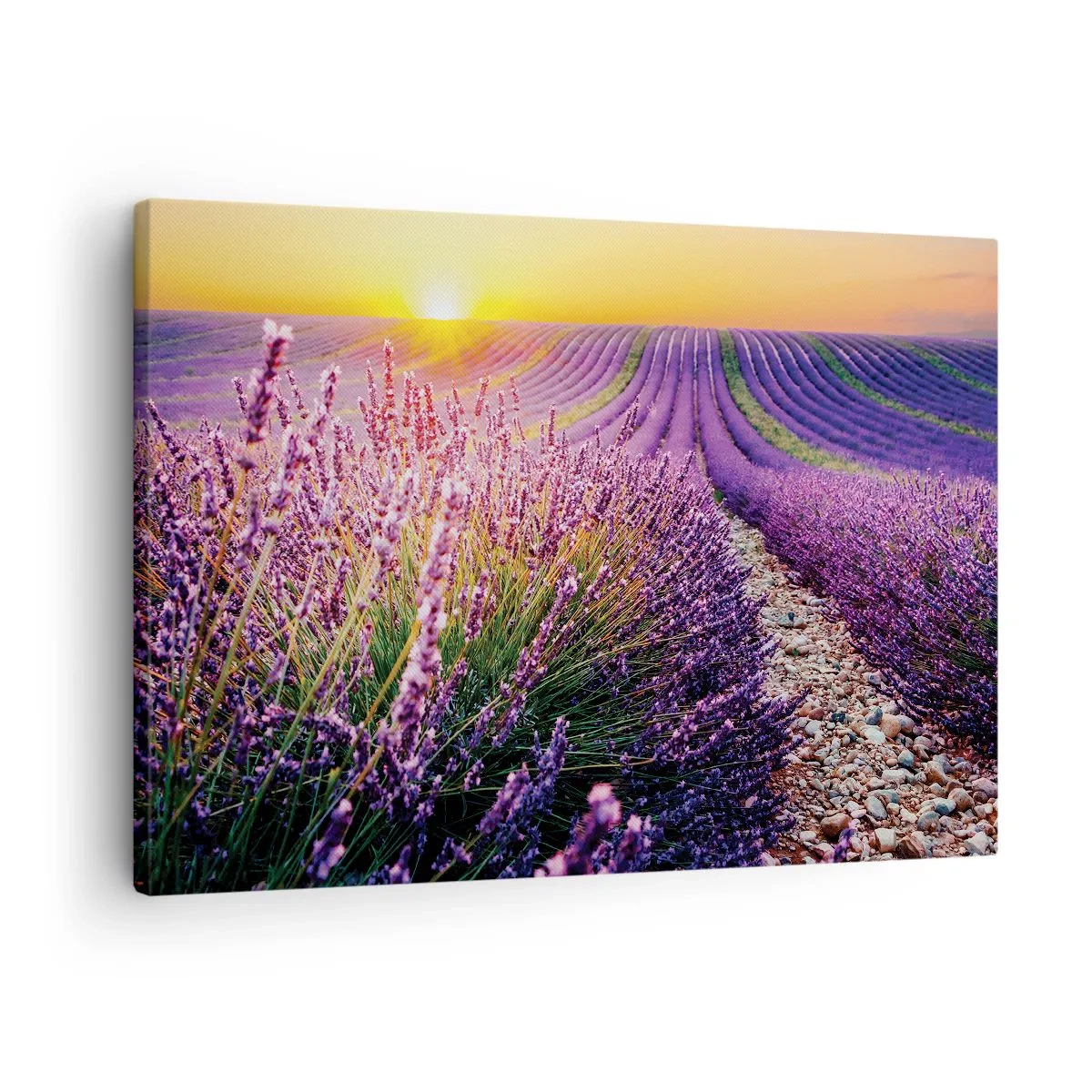 Tablou pe pânză Canvas - Câmp de lavandă la apus - 70x50cm - Câmpul parfumat - Decorațiune modernă pentru perete pentru living și dormitor ARTTOR