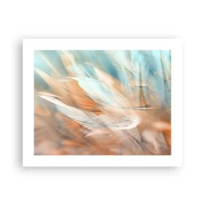 Poster - În țara blândeții - 50x40 cm