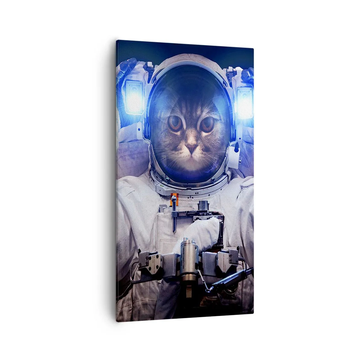 Tablou pe pânză - Houston, aveți o problemă - 55x100 cm