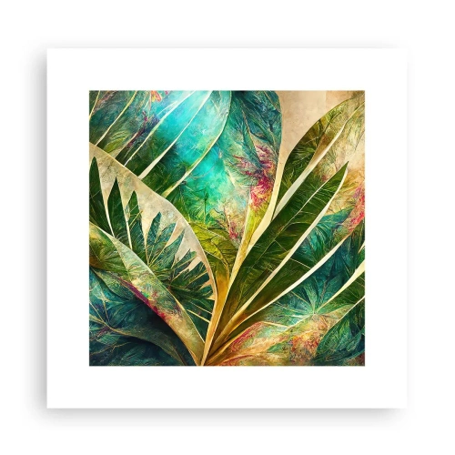 Poster - Culorile tropicelor - 30x30 cm