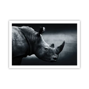 Poster - Profil drept - 91x61 cm