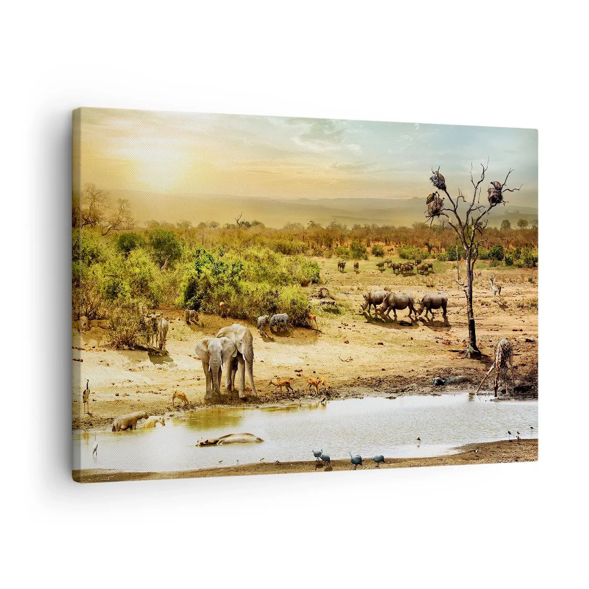 Tablou pe pânză Canvas - Elefanți și animale sălbatice la o adăpătoare la apus - 70x50cm - "Și din Eden curgea un râu..." - Decorațiune modernă pentru perete pentru living și dormitor ARTTOR