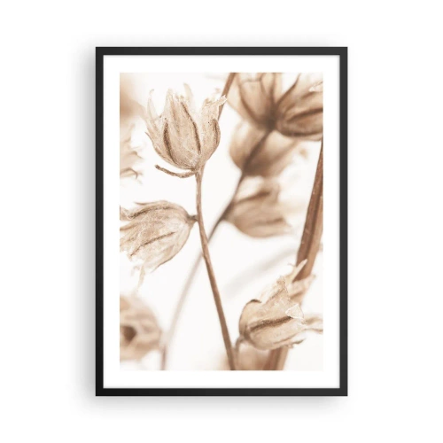 Poster în ramă neagră - Plante uscate în sepia pe un fundal deschis - 50x70cm - Sună ca sfârșitul verii - Decorațiune modernă pentru perete pentru living și dormitor ARTTOR