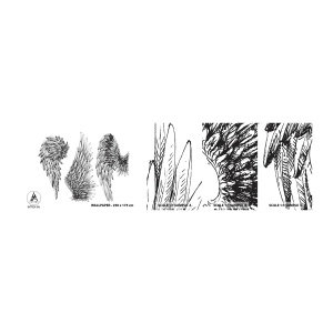 Mostră de Tapet Standard Eco - Și tu poți fi un înger - Pene de pasăre, Aripi, Grafică - 100x30 cm
