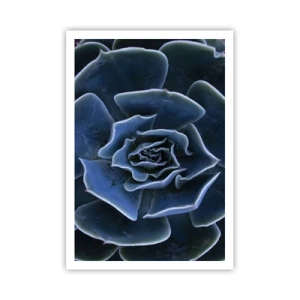 Poster - Floare de deșert - 70x100 cm