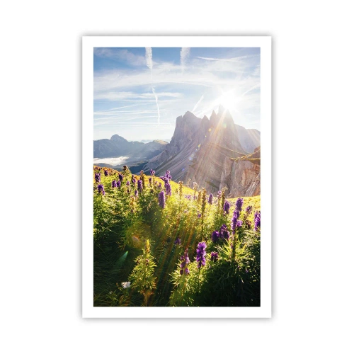 Poster - Viața secretă a ierburilor - 61x91 cm