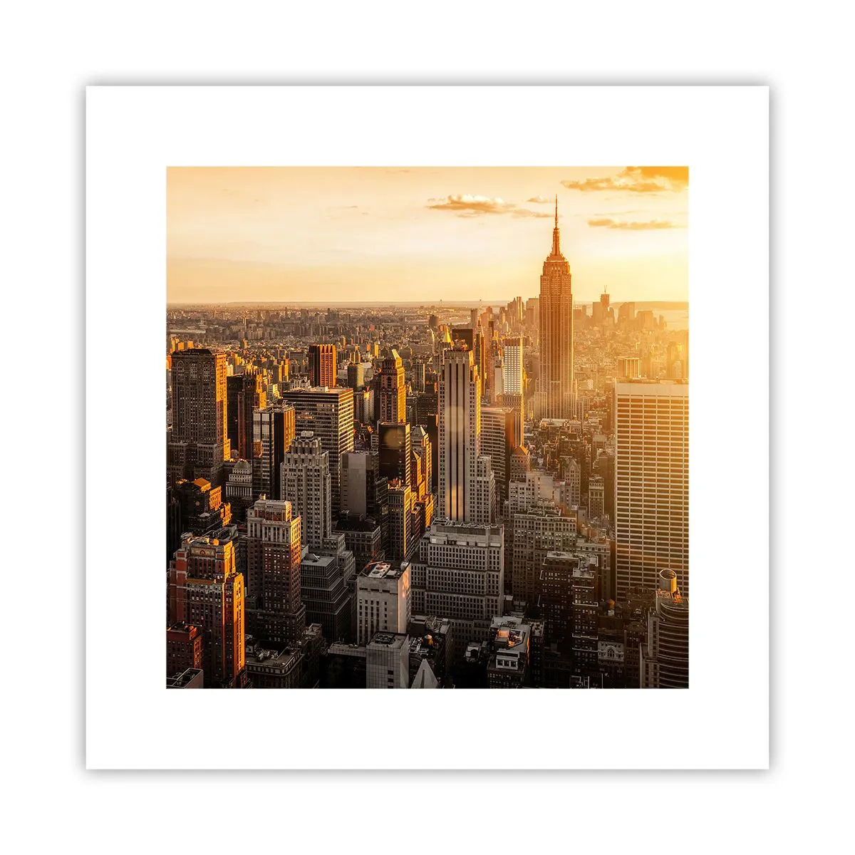Poster - Crescând la soare - 30x30 cm