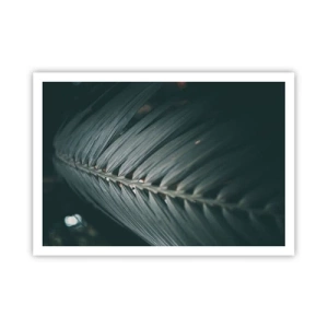 Poster - Precizia naturii - 100x70 cm