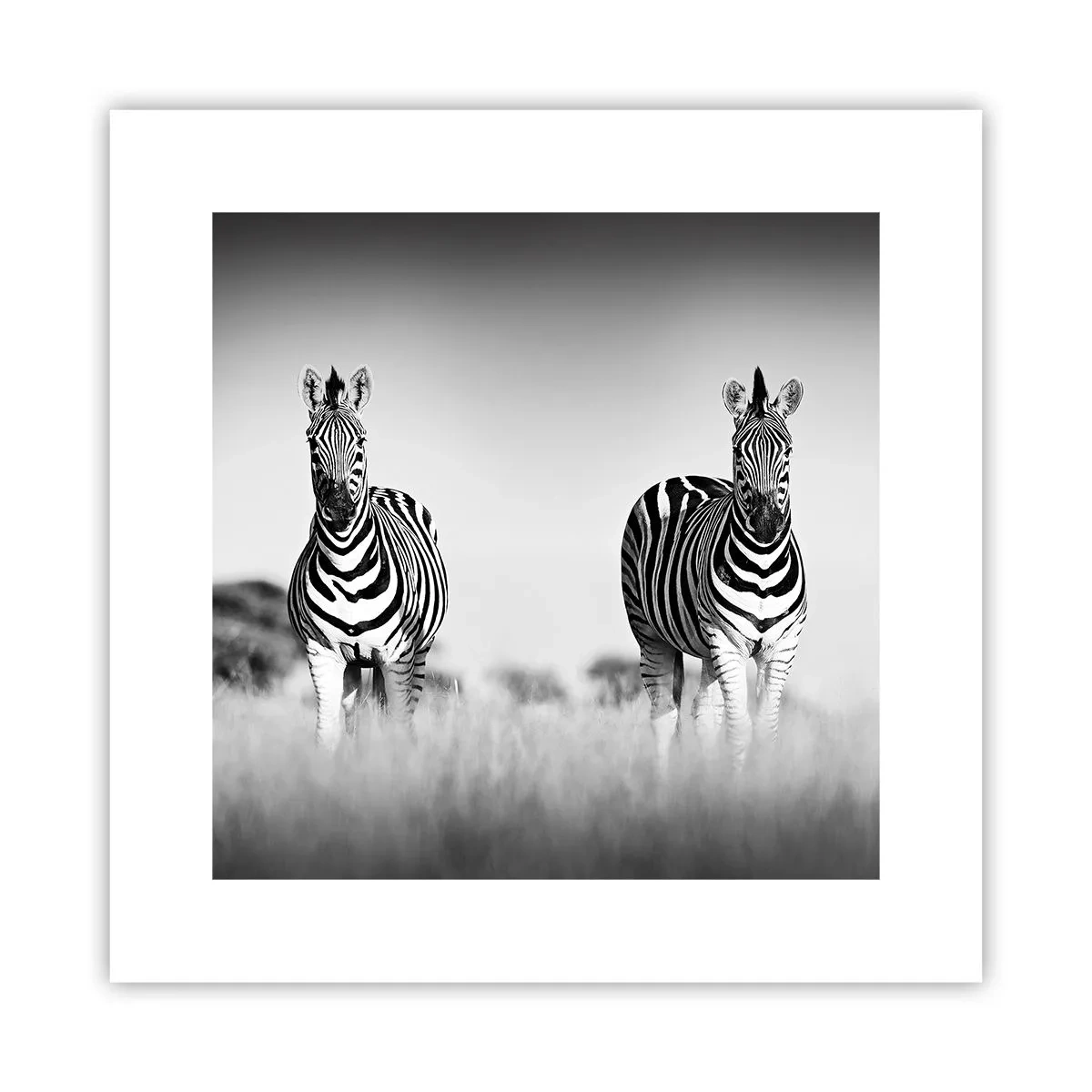 Poster - Și totuși lumea e albă și neagră - 30x30 cm