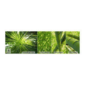 Mostră tapet Premium Sand - Într-o pădure de bambus - Pădure de bambus, Junglă, Bambus - 100x30 cm