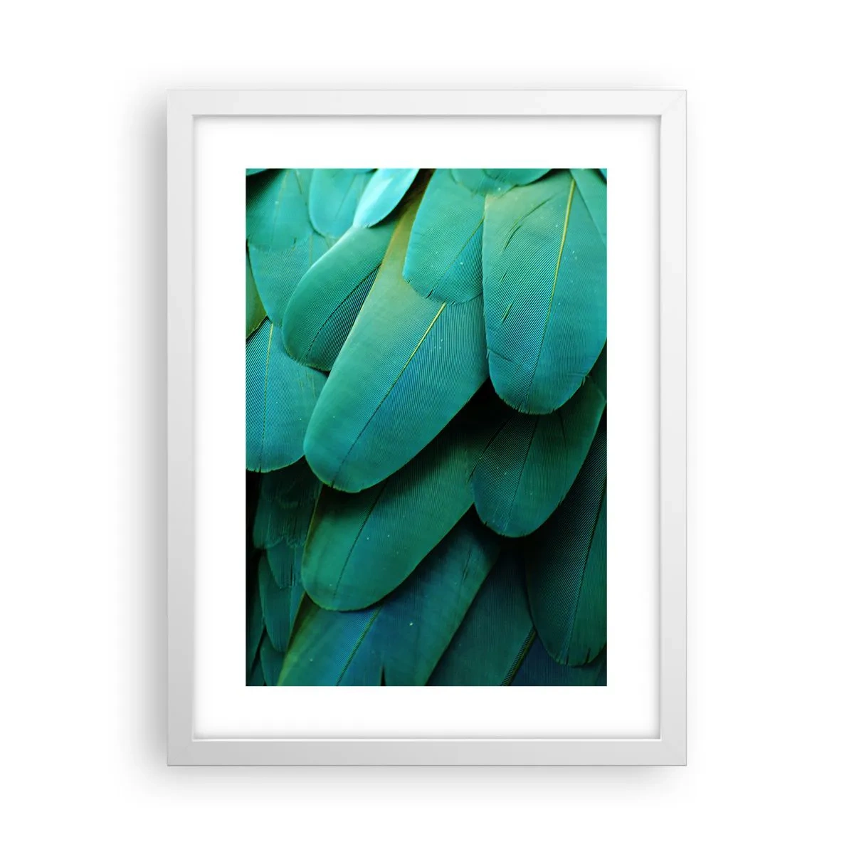 Poster în ramă albă - Precizia naturii papagalicești - 30x40 cm