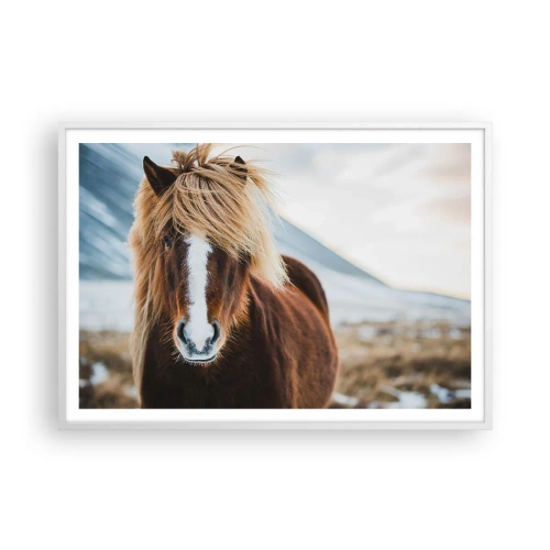 Poster în ramă albă - Simțiți libertatea? - 100x70 cm