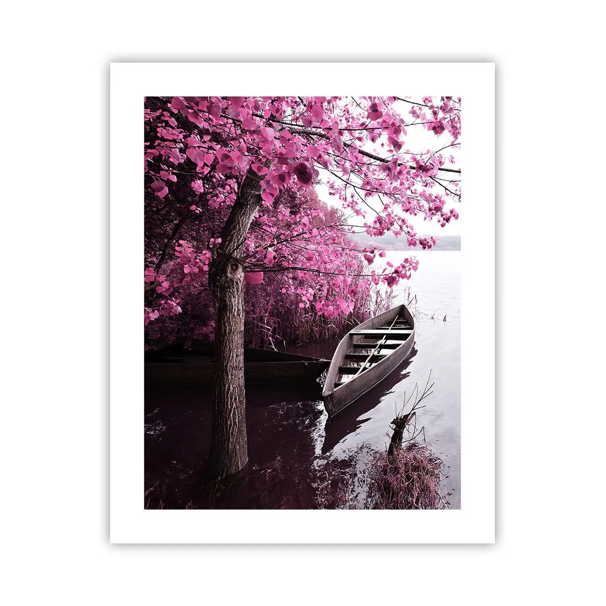 Poster - În tăcerea roz - 40x50 cm