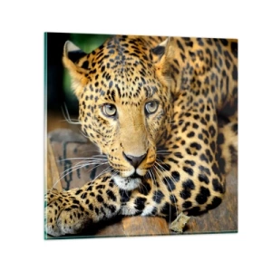 Tablou pe sticlă - Nu-ți fie teamă, apropie-te - 70x70 cm