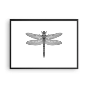 Poster în ramă neagră - Precizia naturii - 70x50 cm