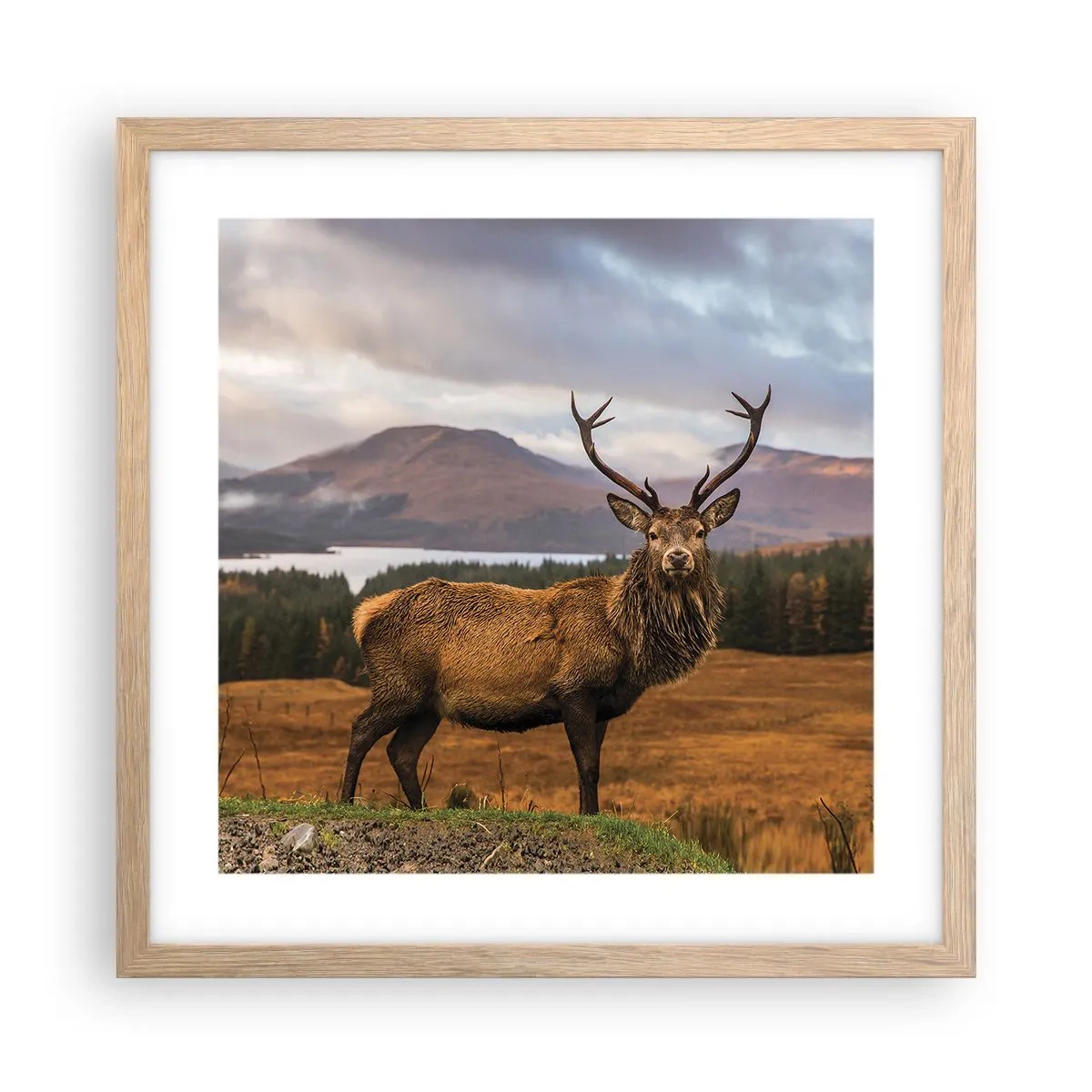 Poster în ramă de stejar deschis - Măreția naturii - 40x40 cm