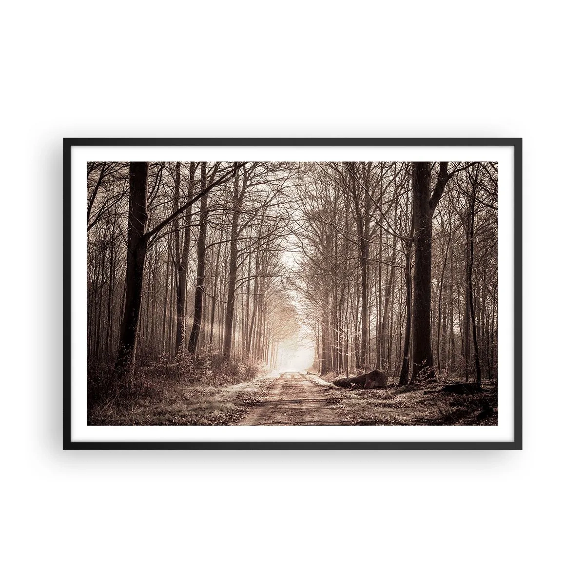 Poster în ramă neagră - Catedrala Forestieră - 91x61 cm