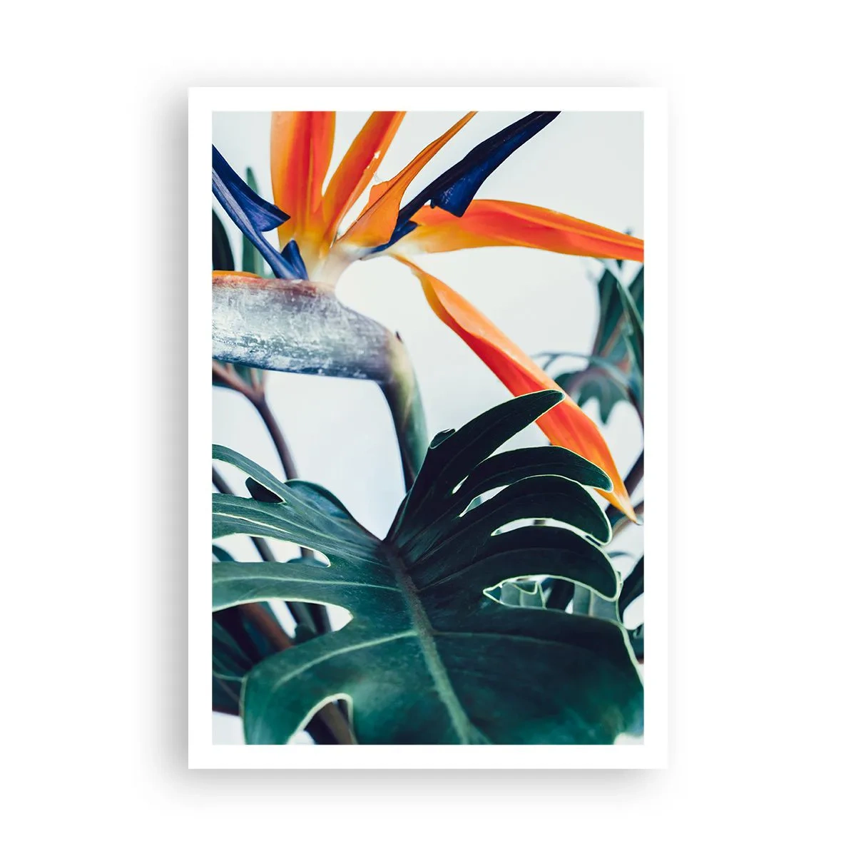 Poster - Tufiș sau pasăre? - 70x100 cm