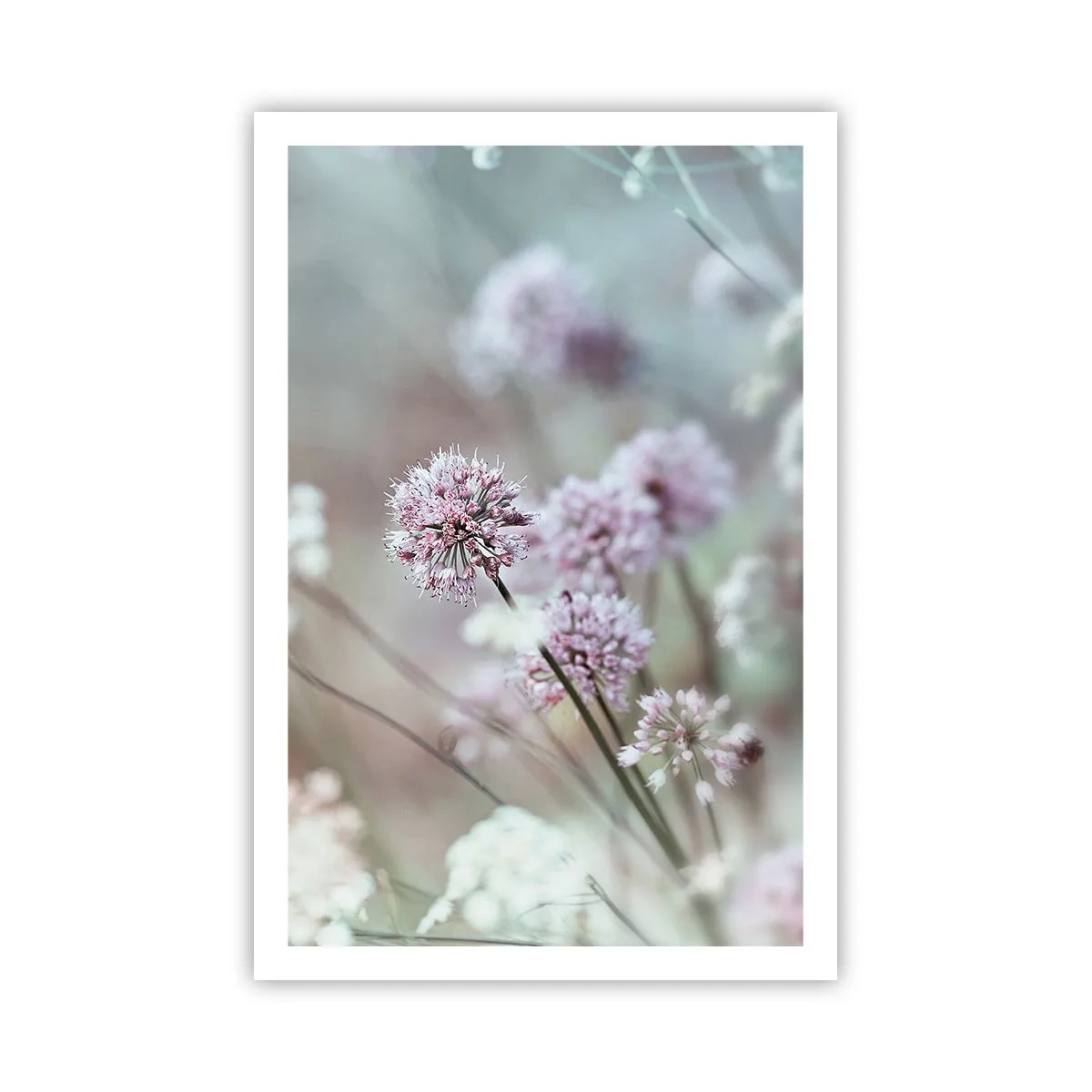 Poster - Ierburi dulci filigranate - 61x91 cm
