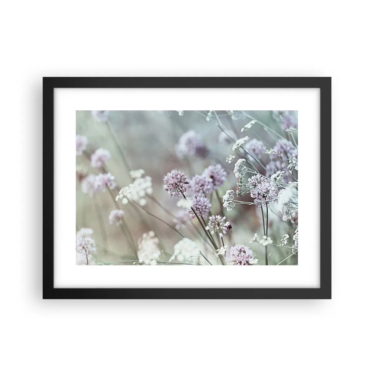 Poster în ramă neagră - Ierburi dulci filigranate - 40x30 cm