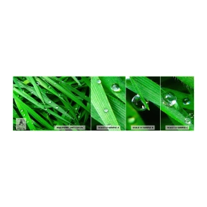 Mostră tapet autocolant Deluxe Sticker - Joacă de-a verdele - Natură, Iarbă verde, Grădină - 100x30 cm