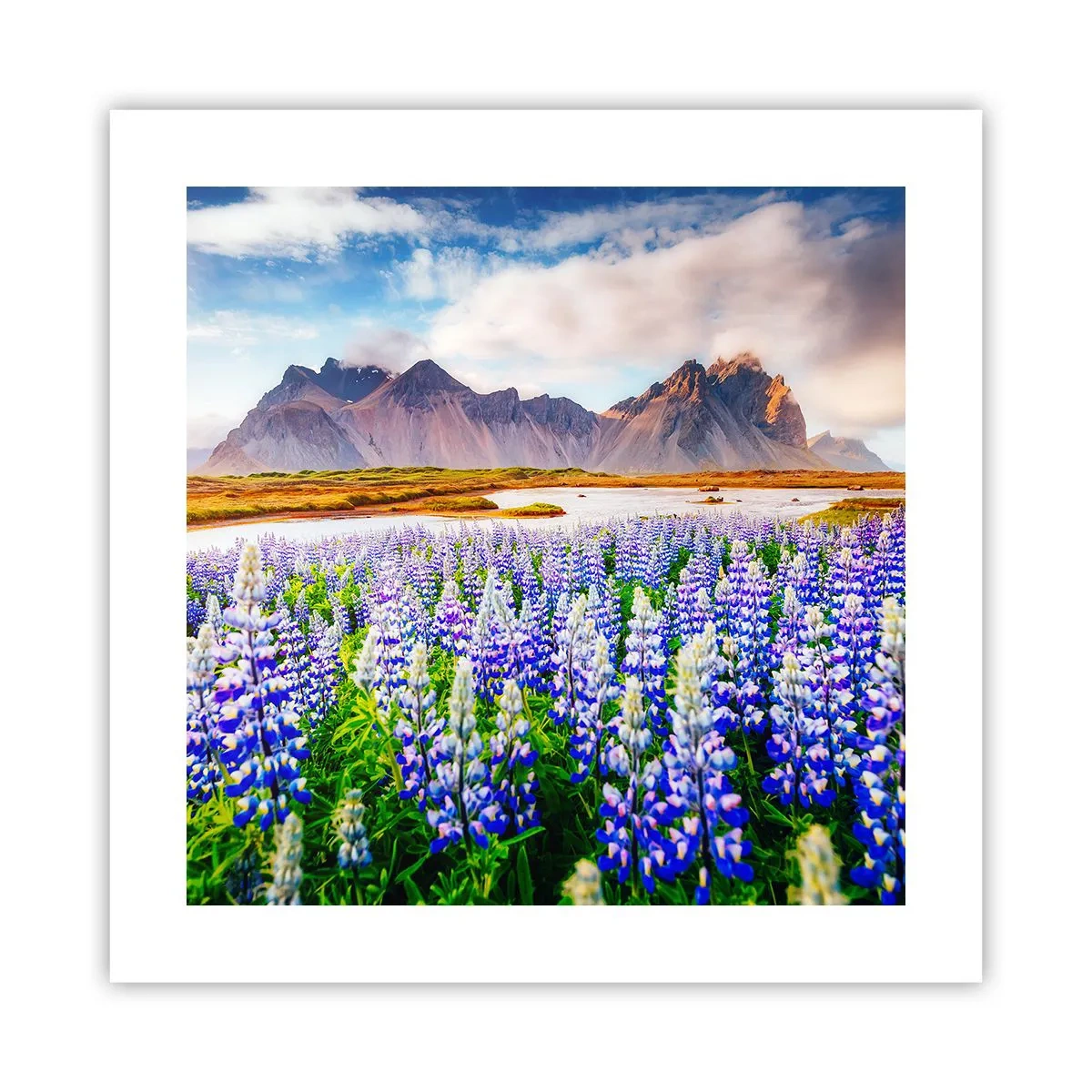 Poster - Putere și severitate alături de blândețe - 40x40 cm