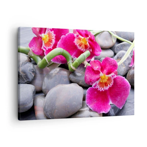 Tablou pe pânză Canvas - Orhidee roz pe un fundal de pietre netede - 70x50cm - Frig și căldură - Decorațiune modernă pentru perete pentru living și dormitor ARTTOR