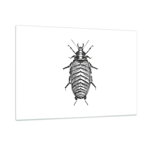 Tablou pe sticlă - Ce specimen! - 120x80 cm