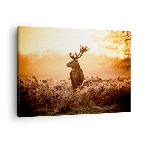 Tablou pe pânză Canvas - Cerbi în razele soarelui care răsare - 70x50cm - Stăpânul conacului - Decorațiune modernă pentru perete pentru living și dormitor ARTTOR