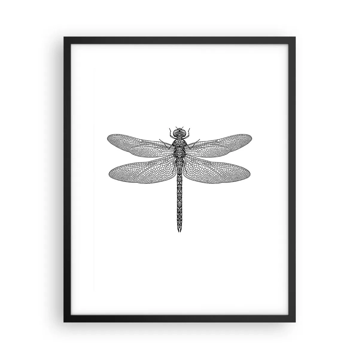 Poster în ramă neagră - Precizia naturii - 40x50 cm