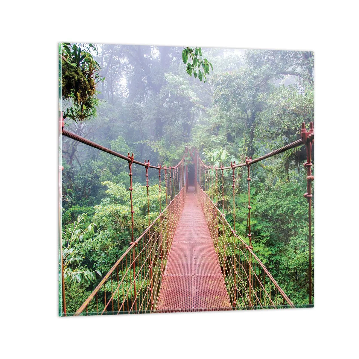 Tablou pe sticlă - Suspendat deasupra coroanelor arborilor - 60x60 cm