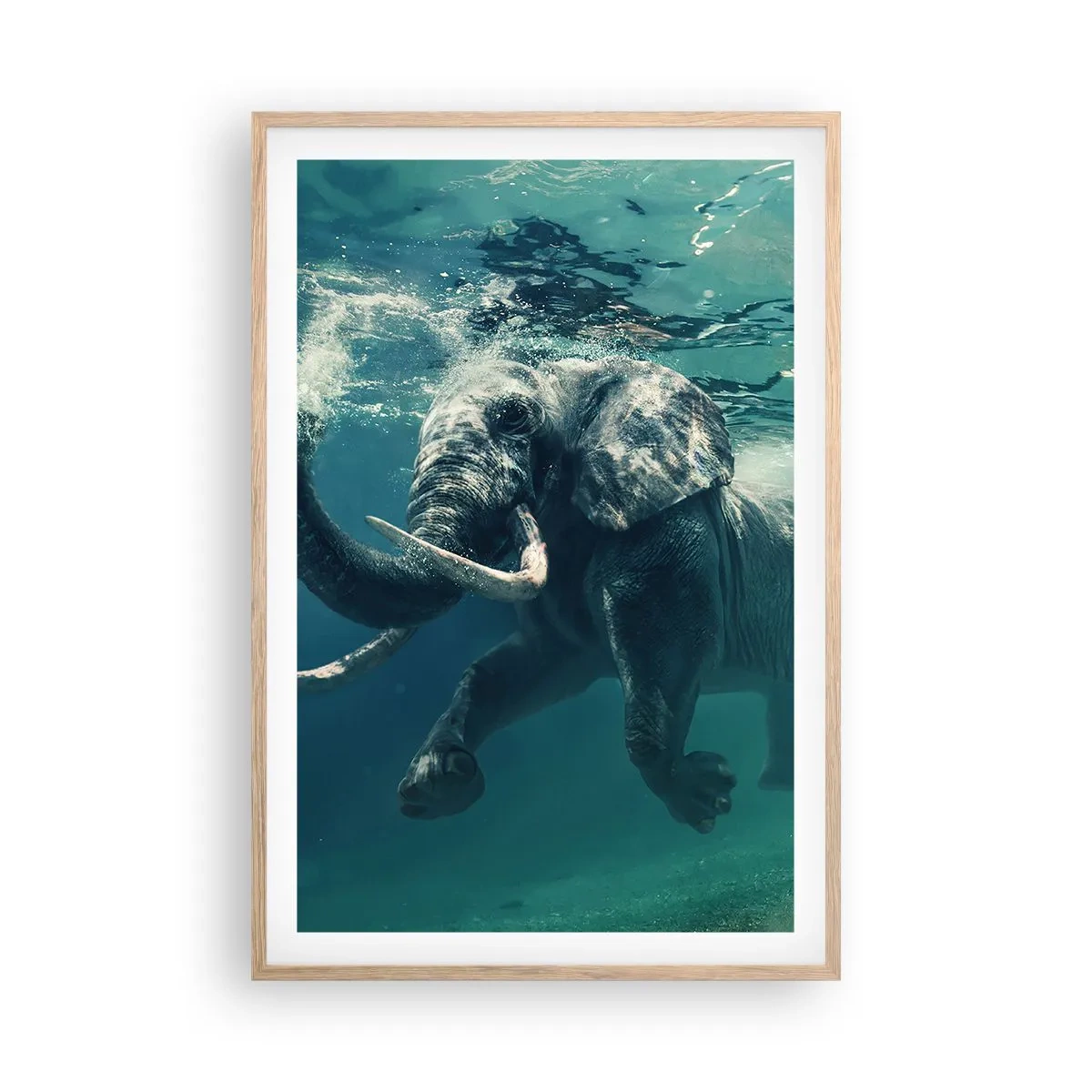 Poster în ramă de stejar deschis - Tuturor le place să înoate - 61x91 cm