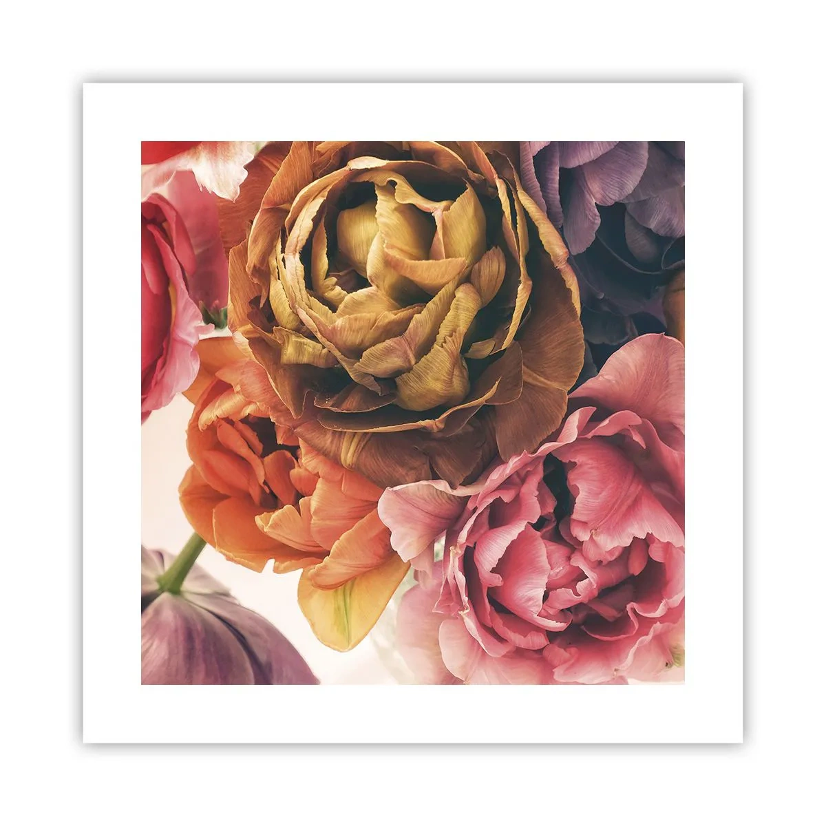 Poster - Sărbătorirea vieții - 40x40 cm