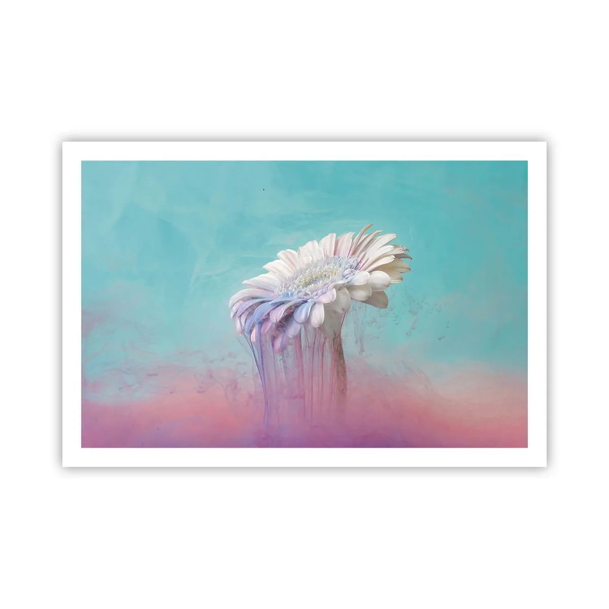 Poster - Viața de după flori - 91x61 cm