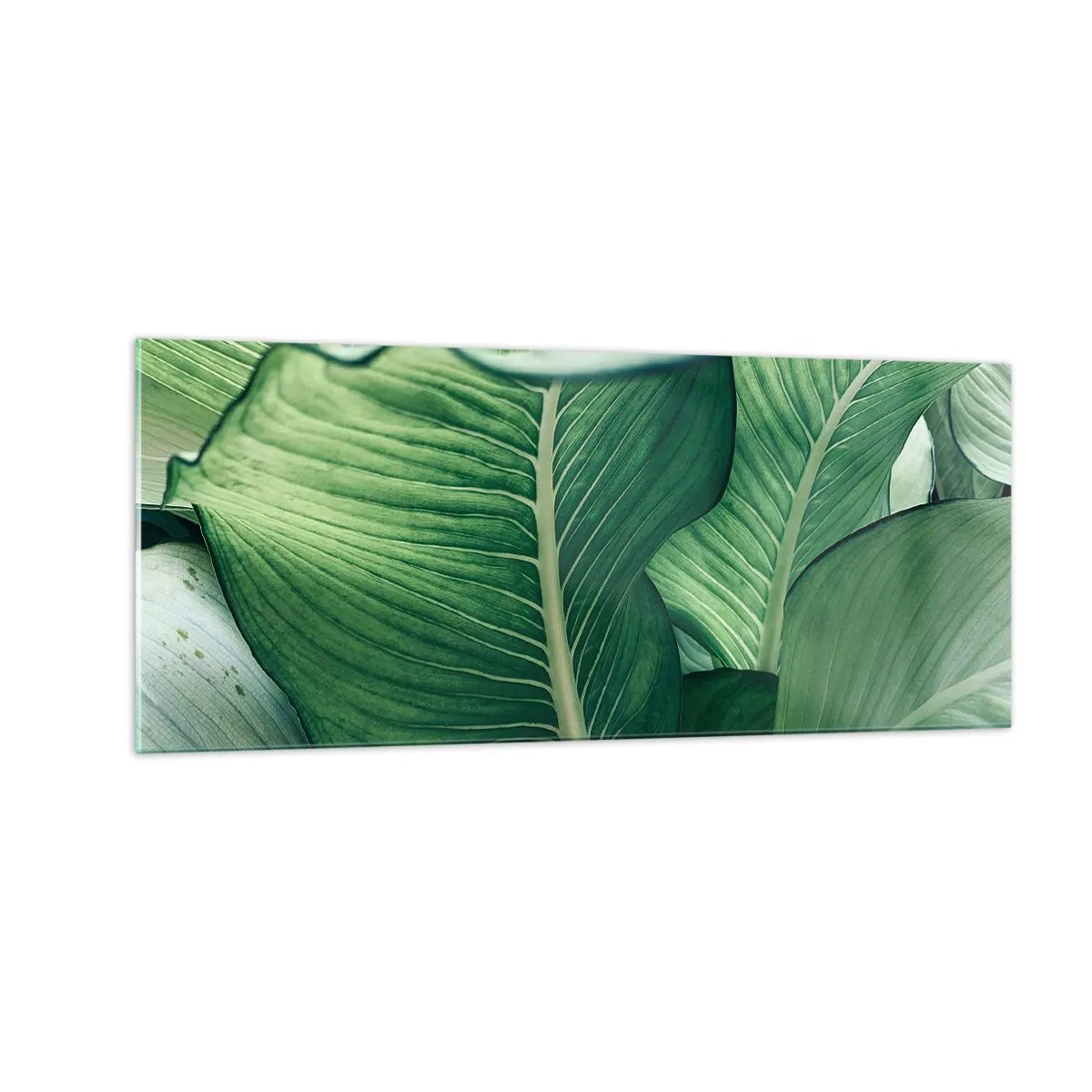 Tablou pe sticlă - Viață intensă în verde - 100x40 cm