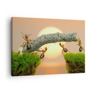 Tablou pe pânză Canvas - Furnicile construiesc un pod din crengi pe fundalul soarelui care apune. - 70x50cm - Cooperare veselă - Decorațiune modernă pentru perete pentru living și dormitor ARTTOR