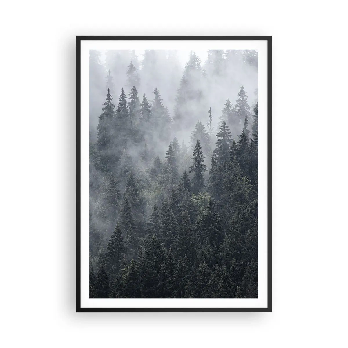 Poster în ramă neagră - Zori de pădure - 70x100 cm