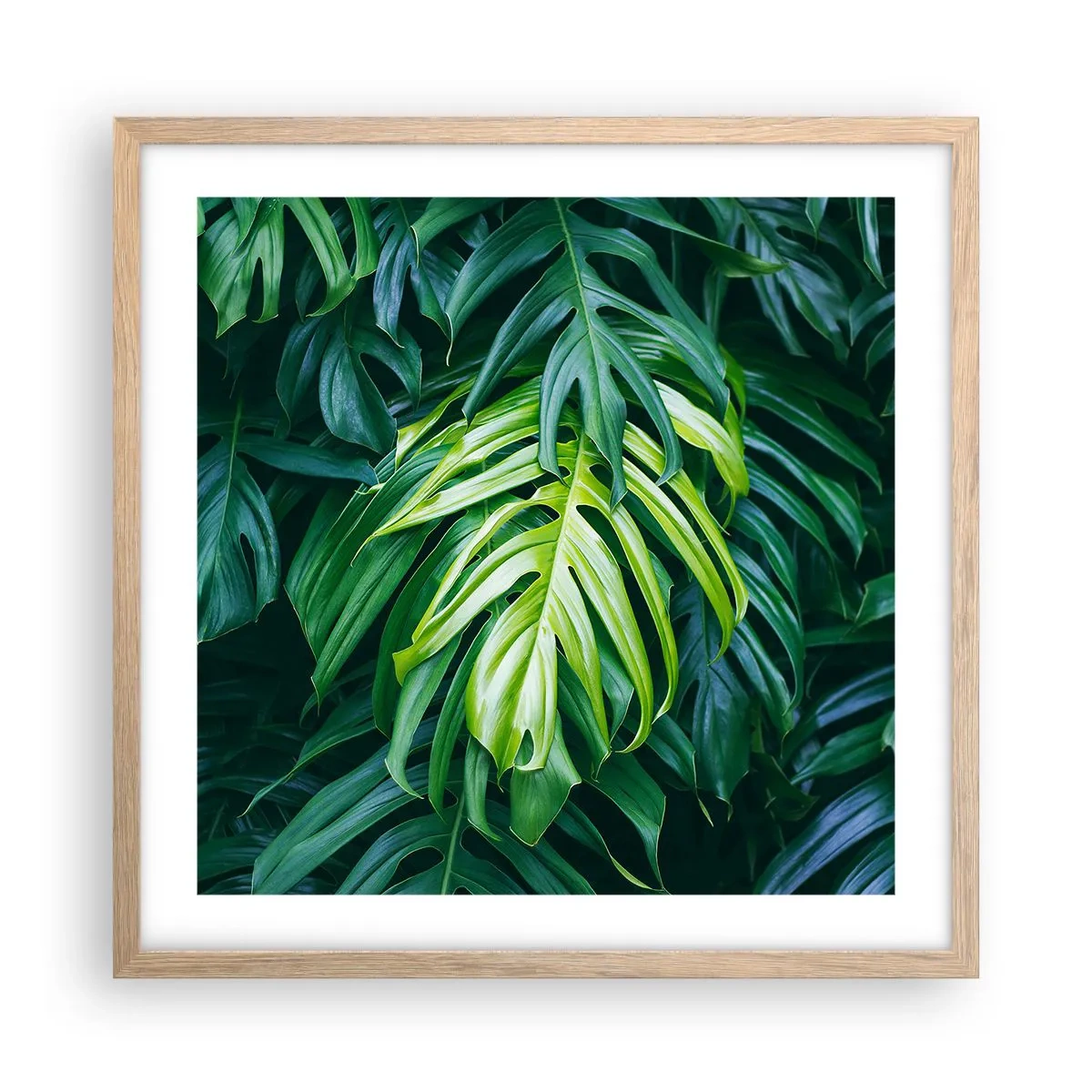 Poster în ramă de stejar deschis - Scufundă-te în prospețime - 50x50 cm