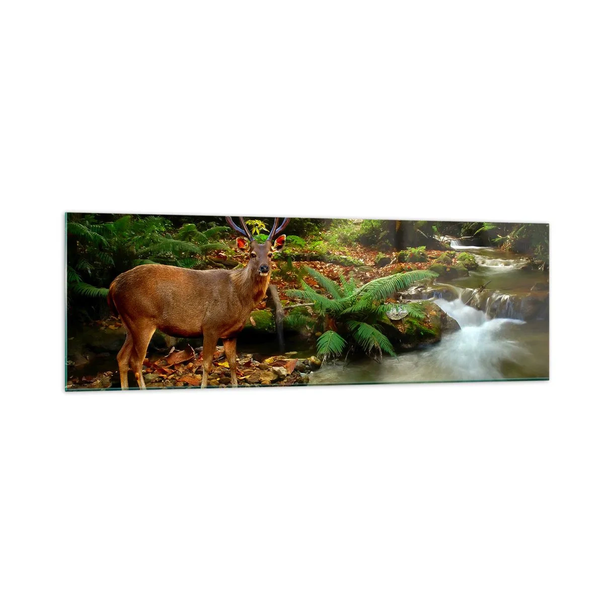 Tablou pe sticlă - Bun venit în lumea mea - 160x50 cm