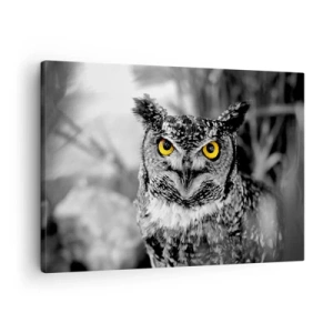 Tablou pe pânză Canvas - O fotografie alb-negru a unei bufnițe cu ochi galbeni - 70x50cm - Nimic nu poate fi ascuns - Decorațiune modernă pentru perete pentru living și dormitor ARTTOR