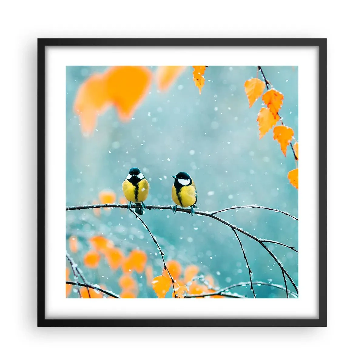 Poster în ramă neagră - Bârfele păsărilor - 50x50 cm