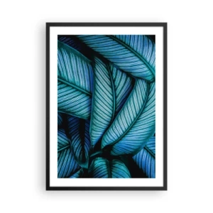 Poster în ramă neagră - Frunzele albastru-verzui fascinante ale bananierului - 50x70cm - Linii de viață - Decorațiune modernă pentru perete pentru living și dormitor ARTTOR