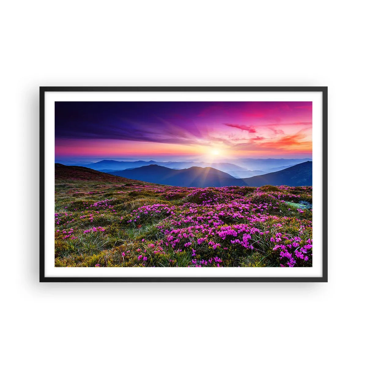 Poster în ramă neagră - Ierburile proaspete miroseau puternic - 91x61 cm
