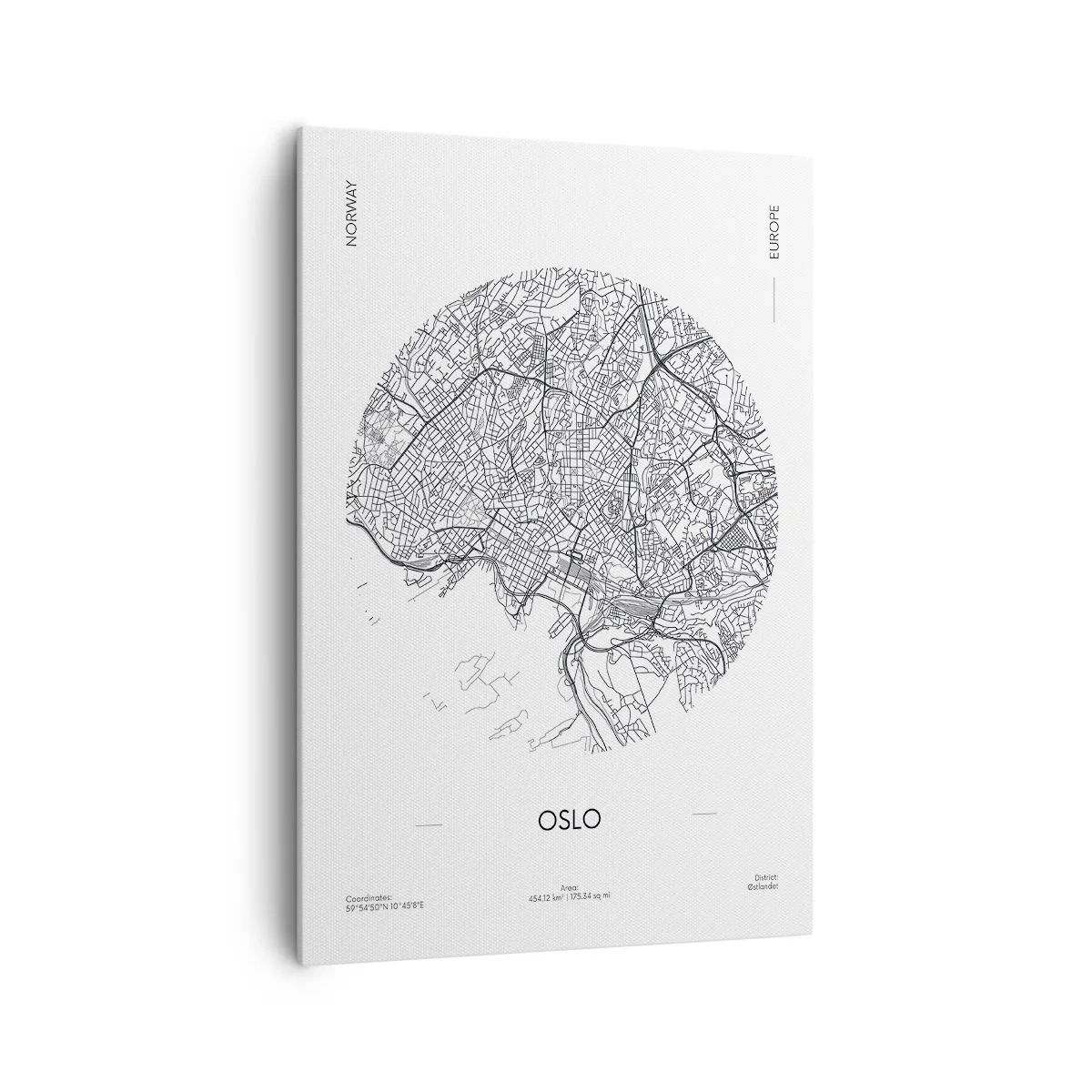 Tablou pe pânză - Anatomia Oslo - 70x100 cm