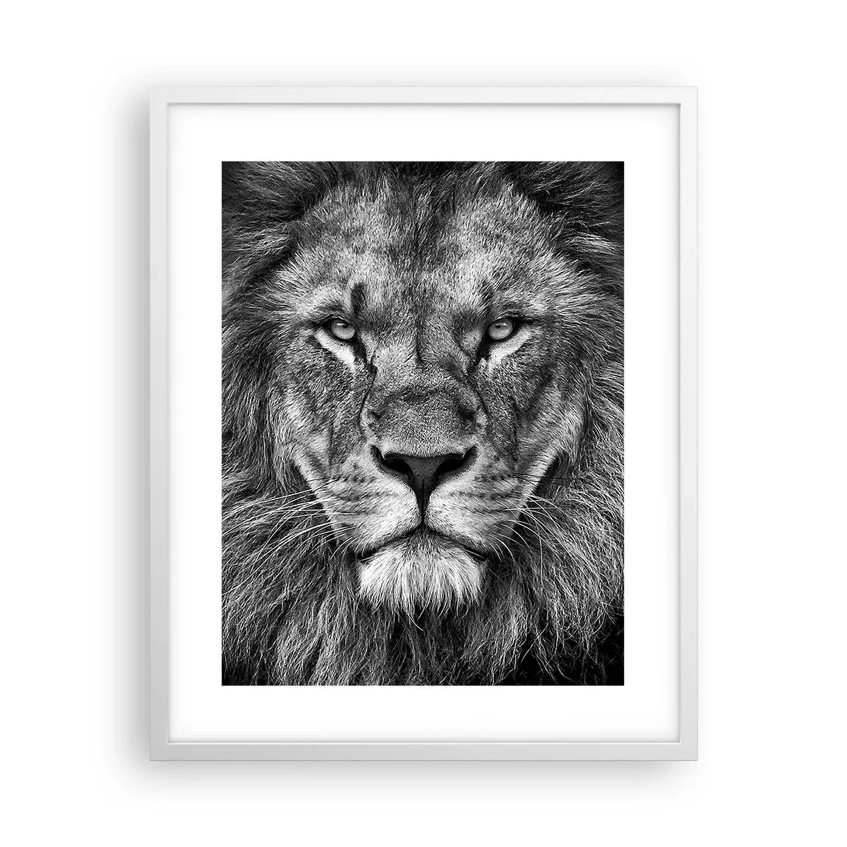 Poster în ramă albă - În ținuta de încoronare - 40x50 cm