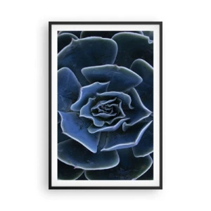 Poster în ramă neagră - Floare de deșert - 61x91 cm