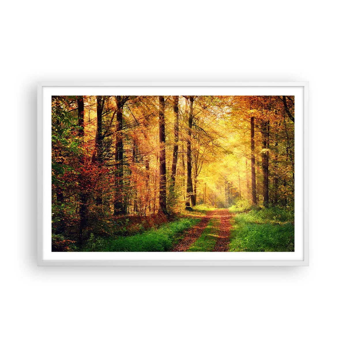 Poster în ramă albă - Tăcere de aur de pădure - 91x61 cm
